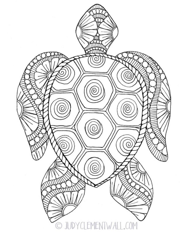 Sea Turtle Coloring Page Pdf