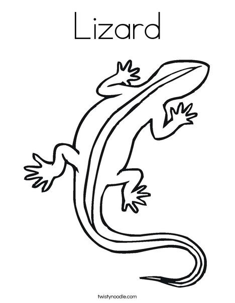 Lizard Coloring Pages Printable