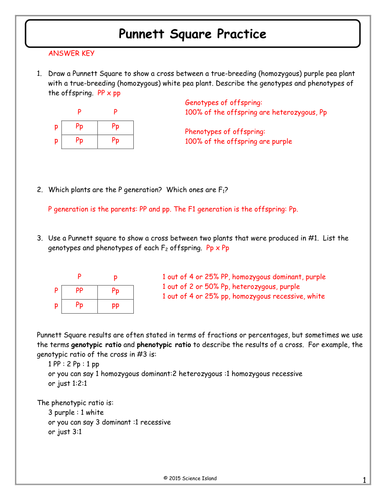 Punnett Square Worksheet 1 Answer Key