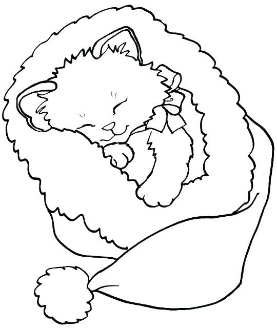 Kitten Coloring Pages For Kids Cute