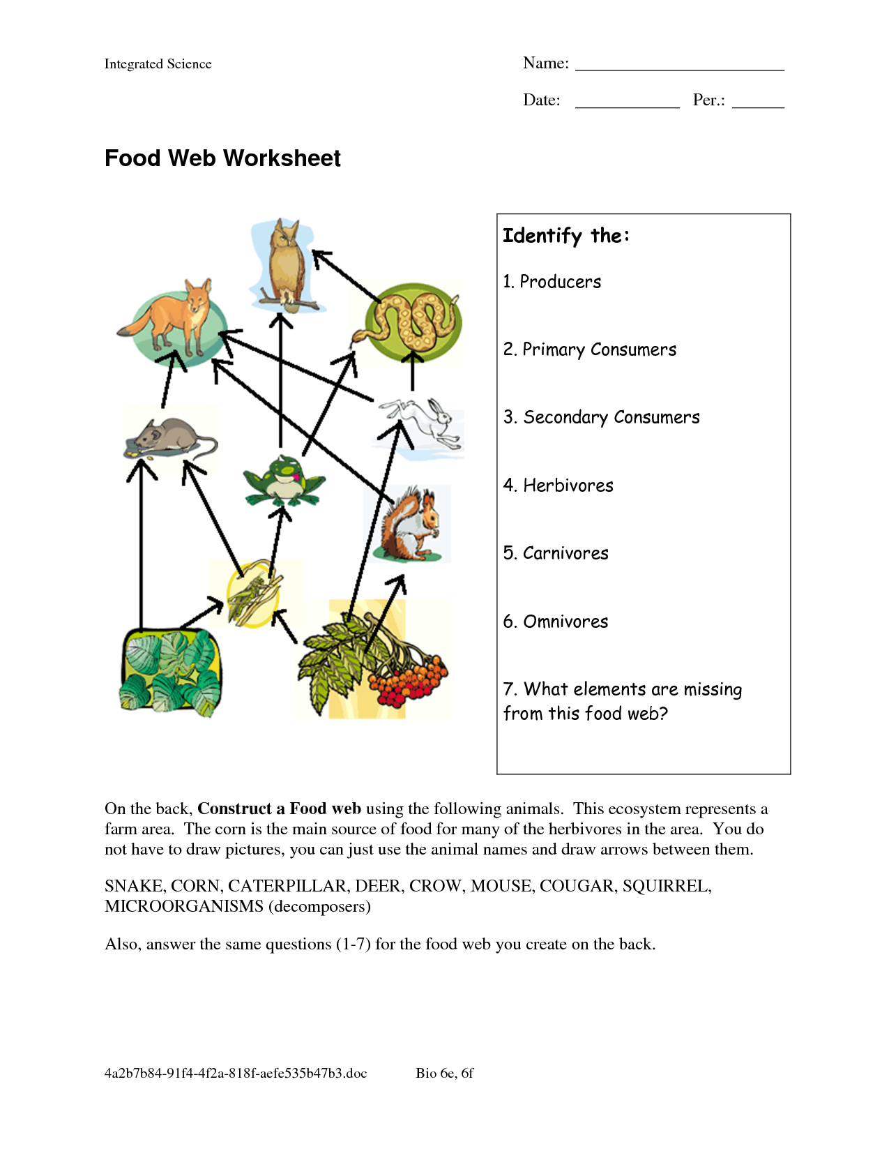 Food Web Worksheet Mcas Practice