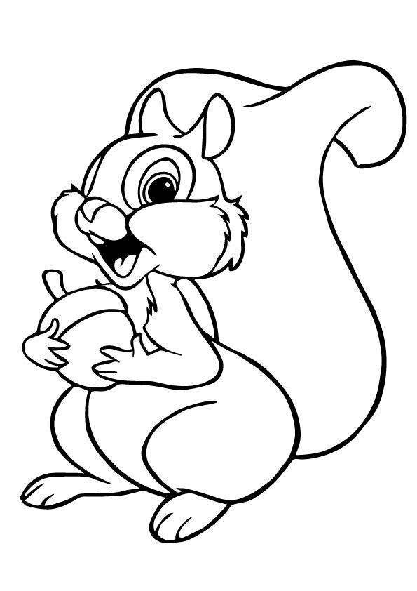 Squirrel Coloring Pages To Print