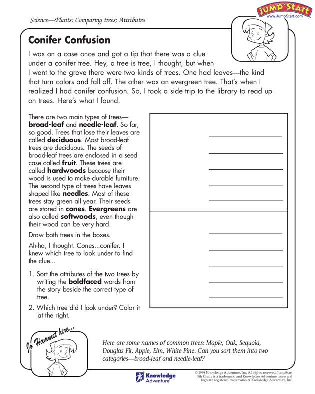 5th Grade Science Worksheets