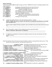 Meiosis Practice Worksheet Fill In The Blank Answers
