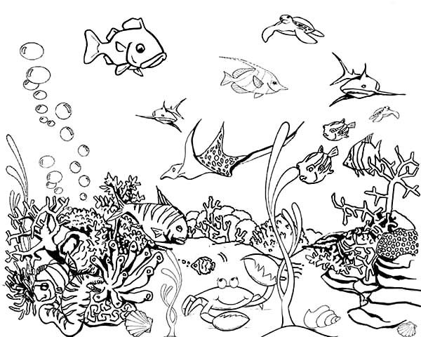 Aquarium Coloring Pages