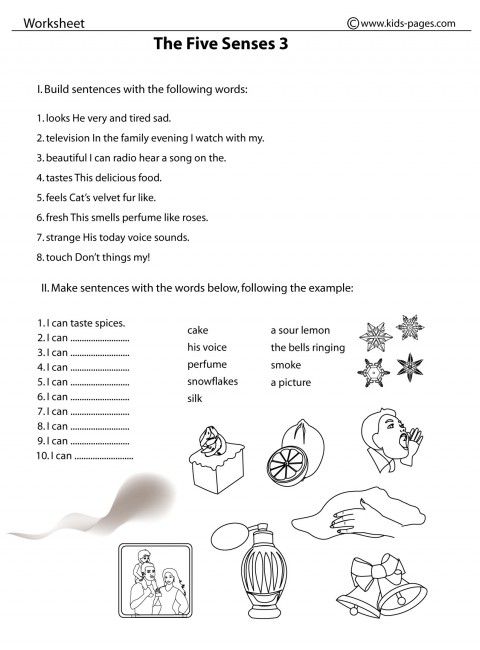 Five Senses Worksheets For 3rd Grade