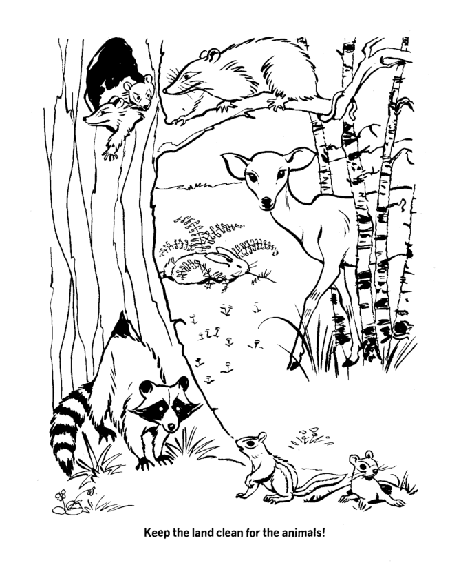 Nature Coloring Pages With Animals
