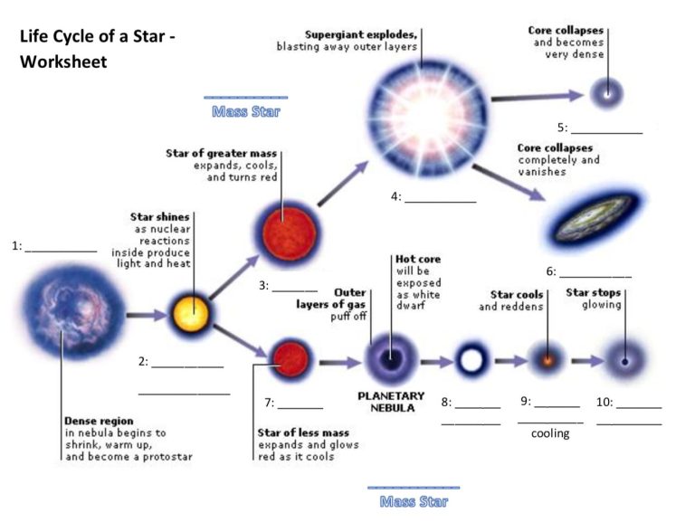 Printable Life Cycle Of A Star Worksheet