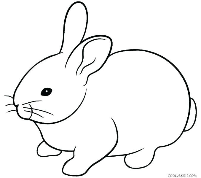 Rabbit Coloring Pages For Kindergarten