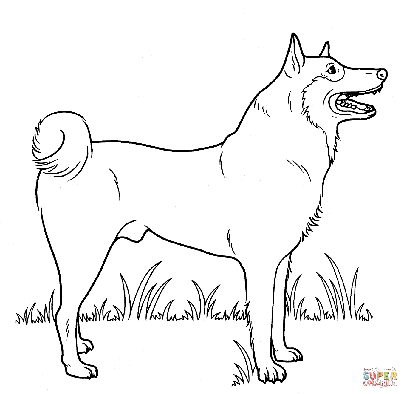 Super Coloring Pages Dogs