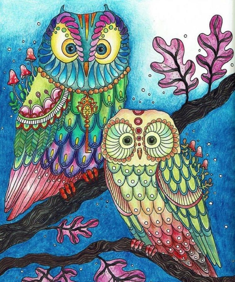 Owl Coloring Pages Already Colored