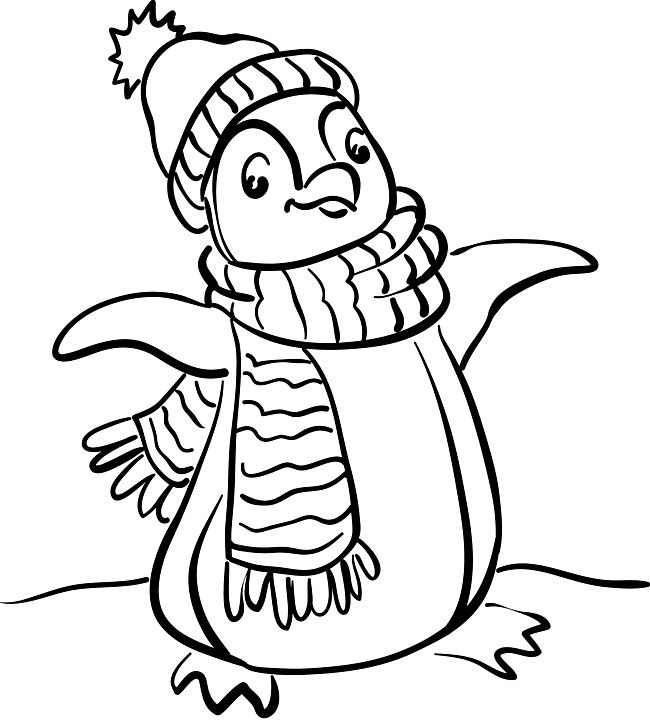 Penguin Coloring Pages For Kids