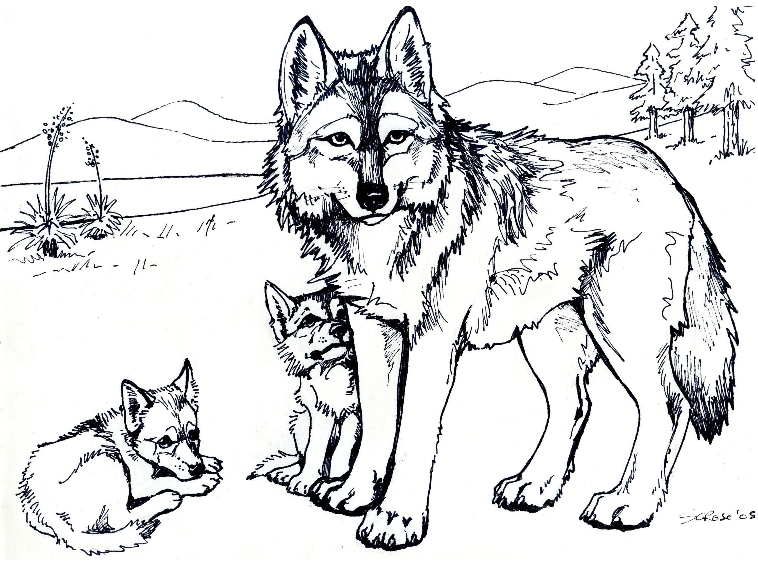 Wolf Coloring Pages Free