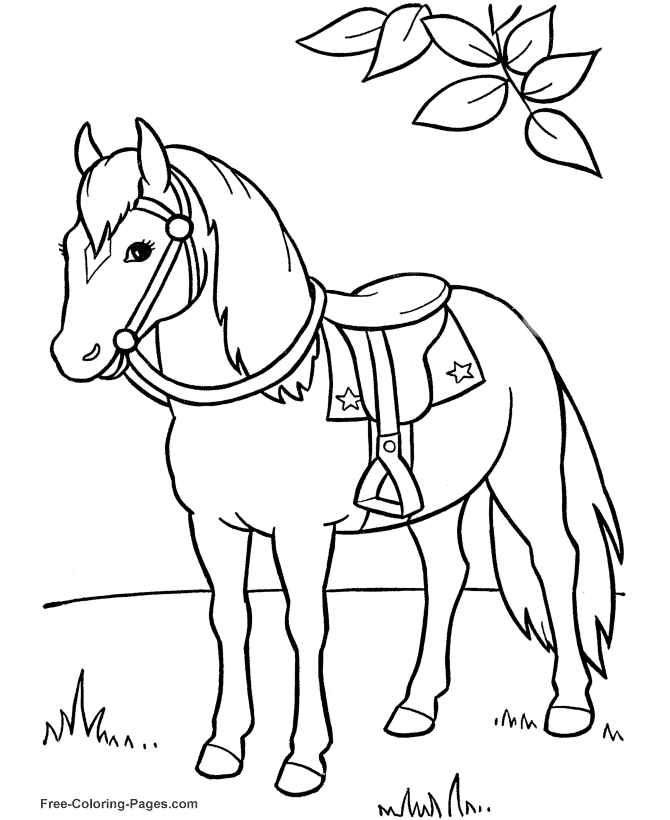 Horse Colouring In