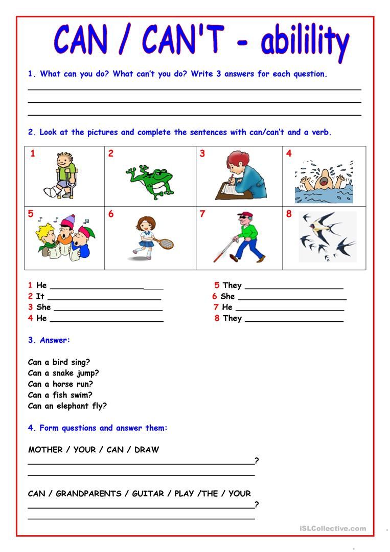 Can Worksheet