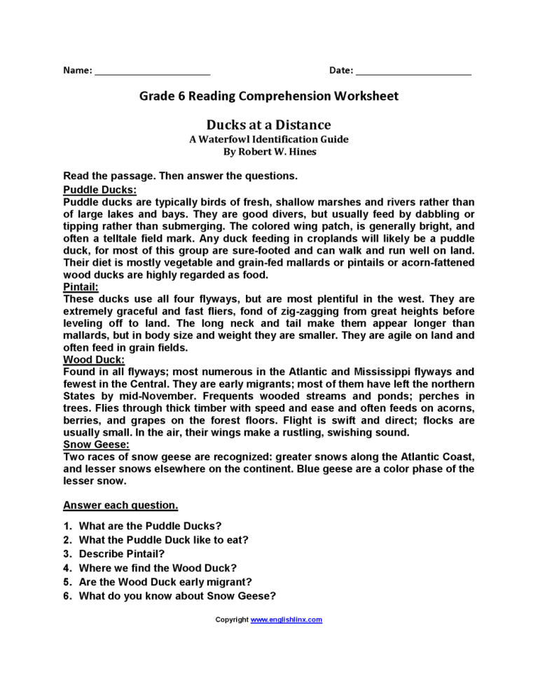 Free Reading Comprehension Worksheets For 6th Grade
