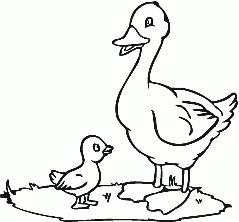 Duck Coloring Pages For Preschoolers