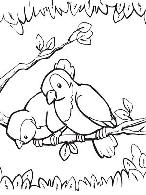 Bug Coloring Pages For Toddlers