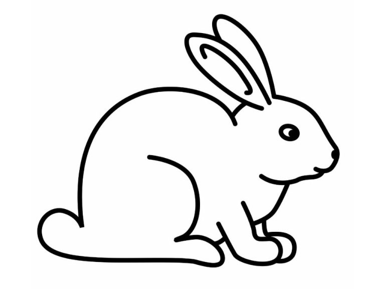 Rabbit Coloring Picture