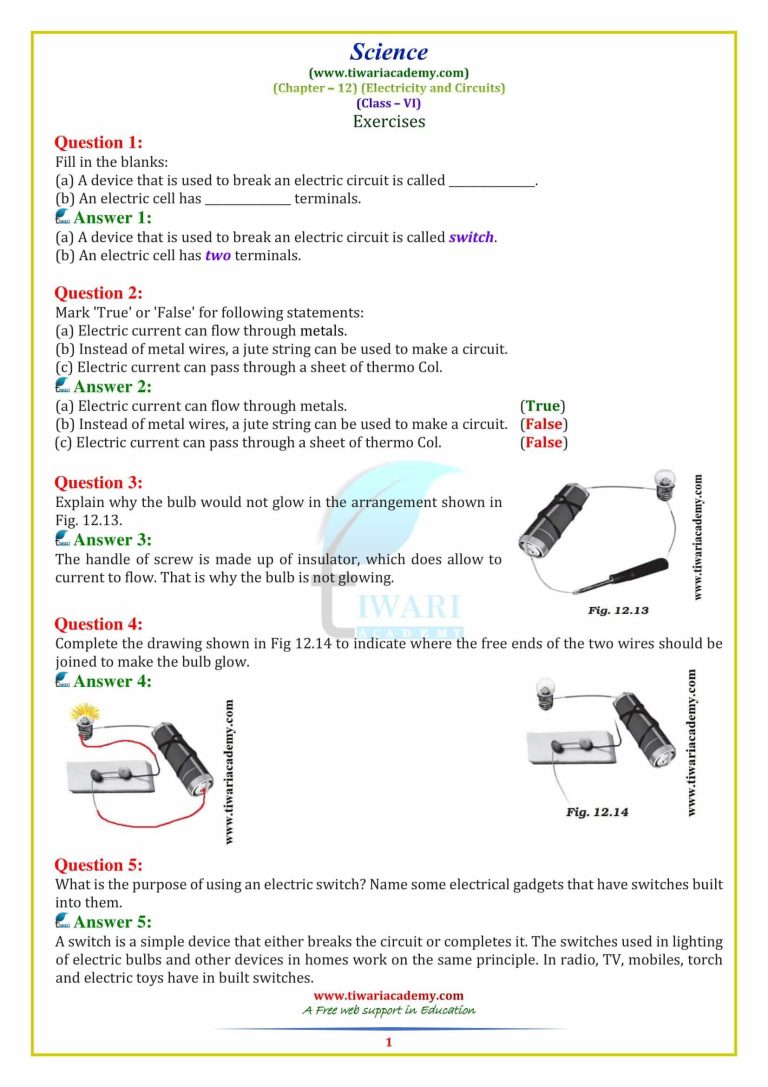 Class 6 Science Chapter 1 Worksheet Answers