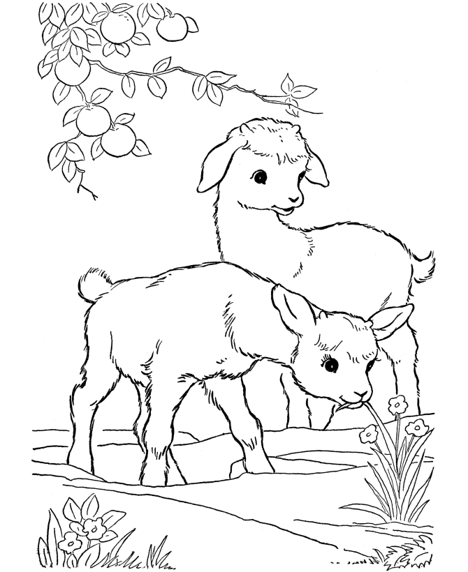 Farm Coloring Pages For Preschoolers