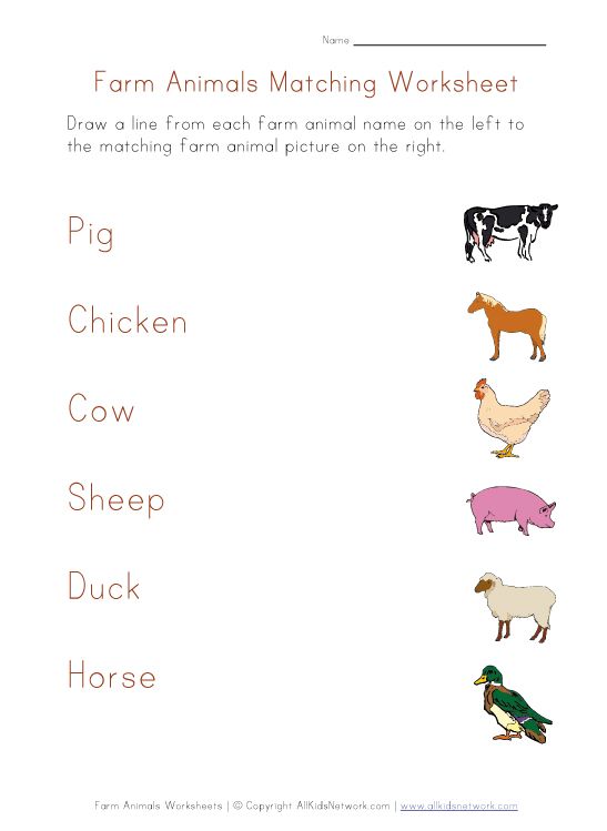 Farm Animals Worksheet For Preschool