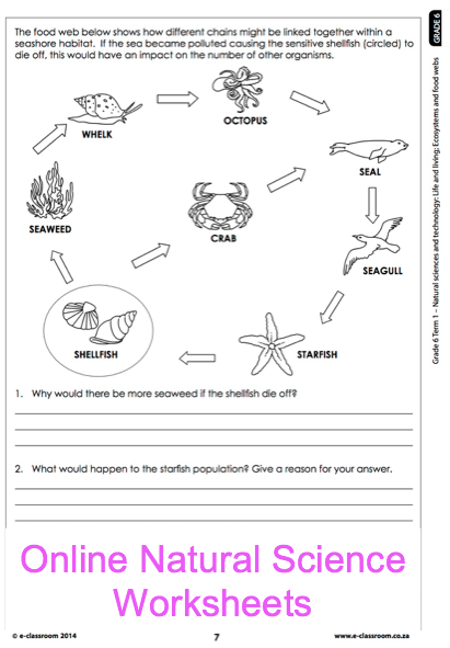 Science Worksheets For Grade 6 With Answers