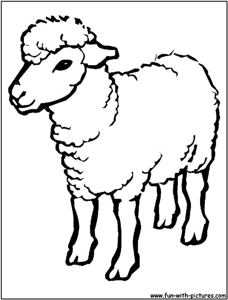 Sheep Coloring Pages For Toddlers