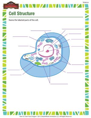 7th Grade Science Worksheets Cells