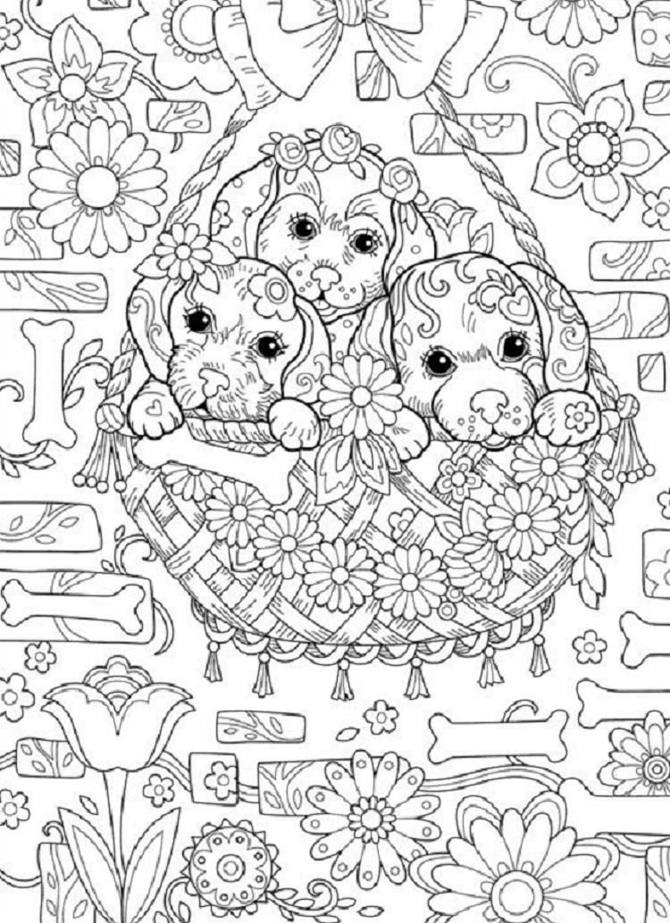 Puppy Coloring Pages Hard