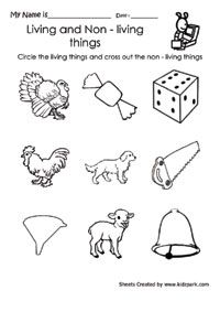 Living Things And Non Living Things Worksheet For Kinder
