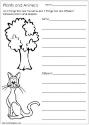 Living Things And Non Living Things Worksheet For Grade 4