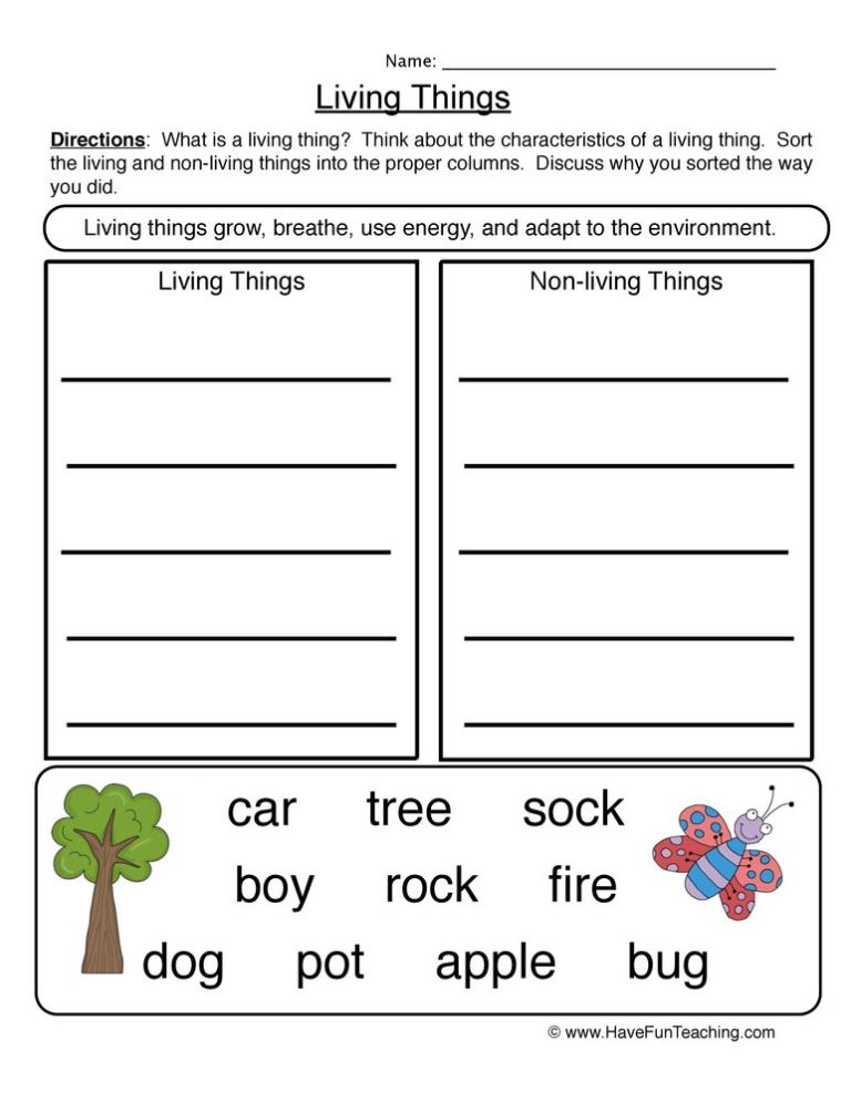 Living Things And Non Living Things Worksheet For Grade 1