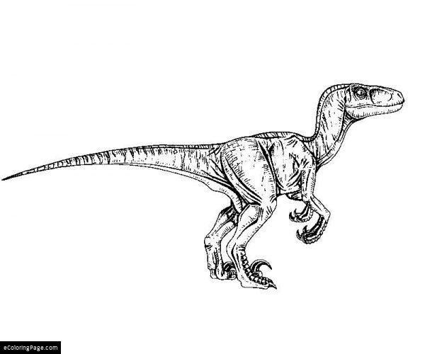 Velociraptor Jurassic Park Coloring Pages