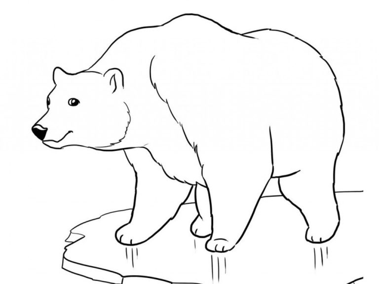 Cute Polar Bear Coloring Pages