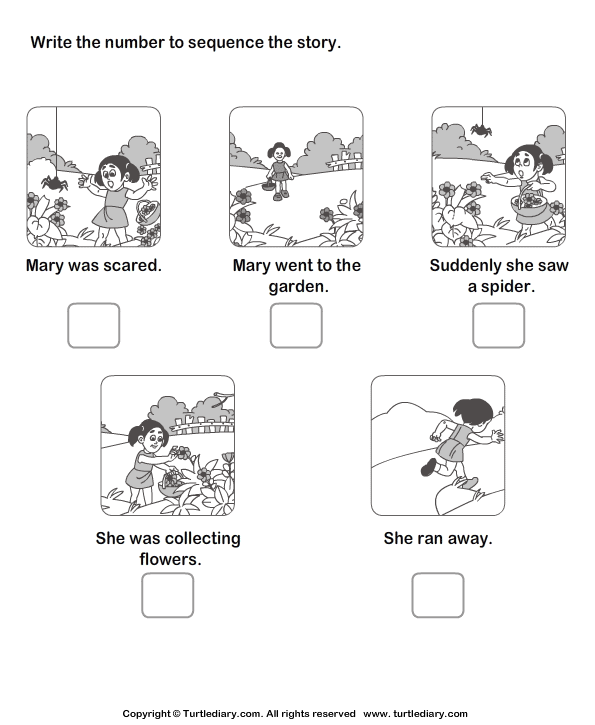 Sequence Of Events Worksheets 1st Grade