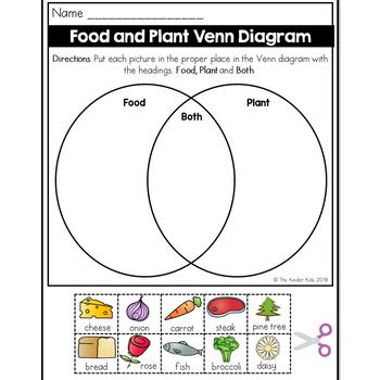 Venn Diagram Worksheet For Kids