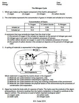 Nitrogen Cycle Worksheet Answer