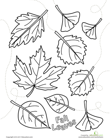Leaf Coloring Pages Printable