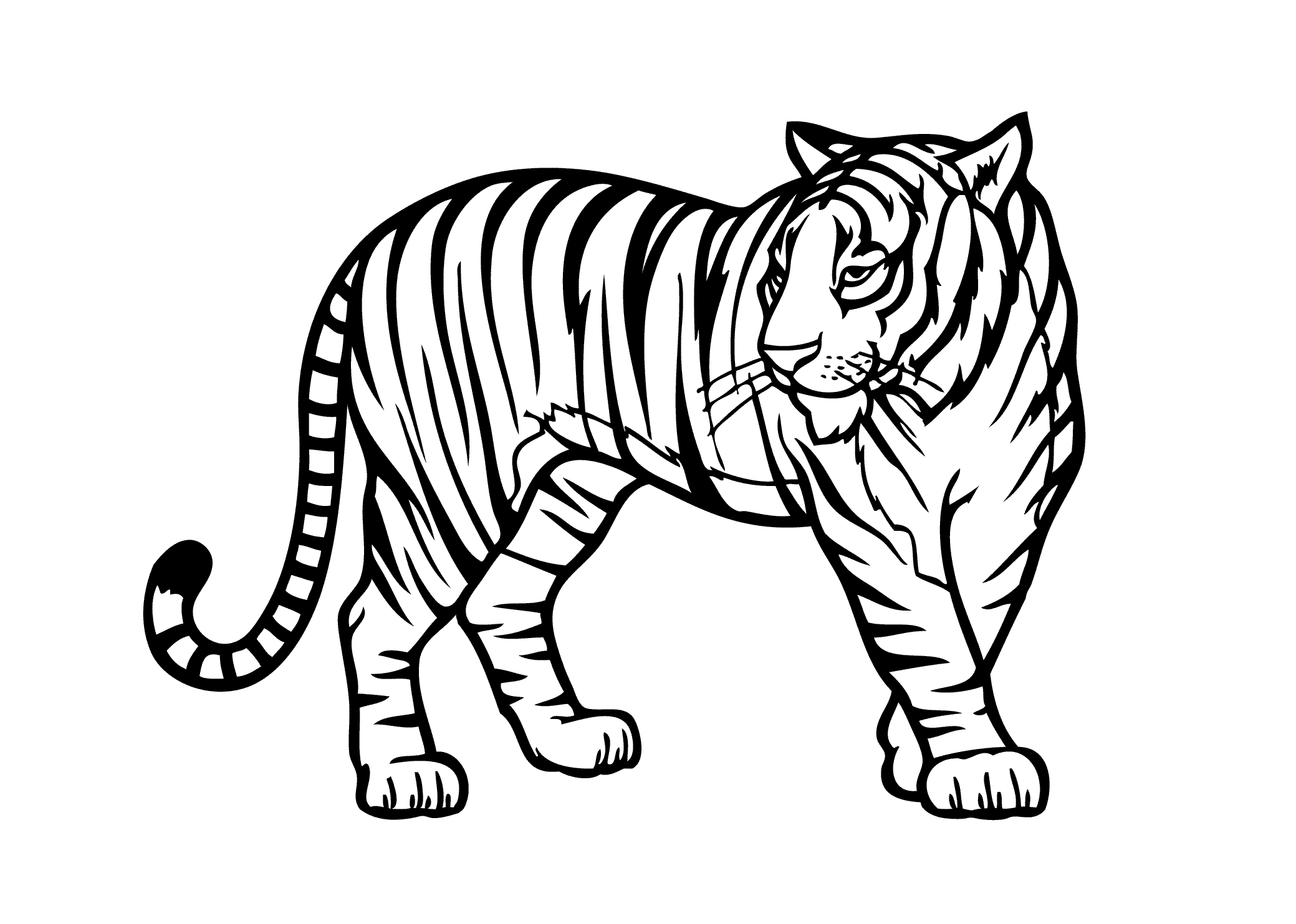 Tiger Coloring Pages Of Animals