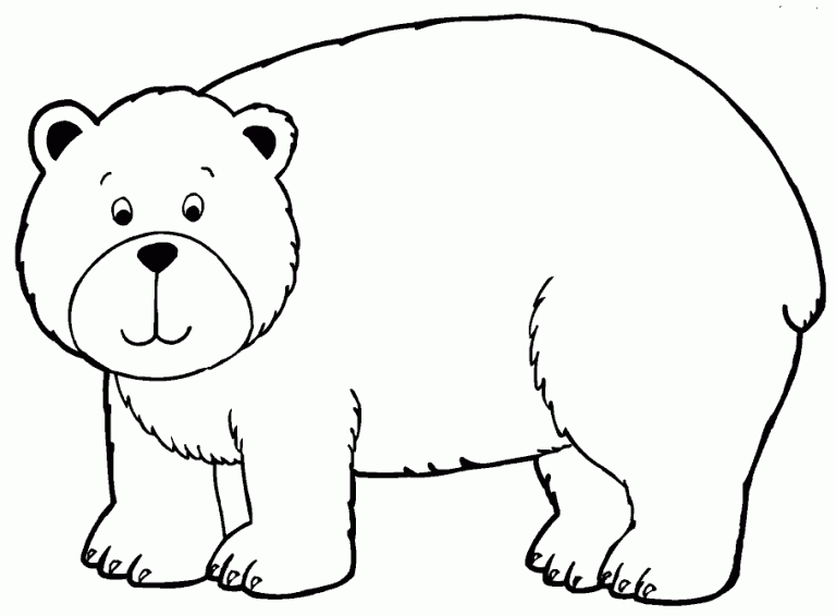 Bear Coloring
