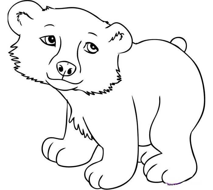 Drawing Pictures For Colouring Animals