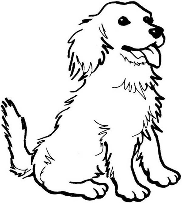 Coloring Pages To Print Dogs