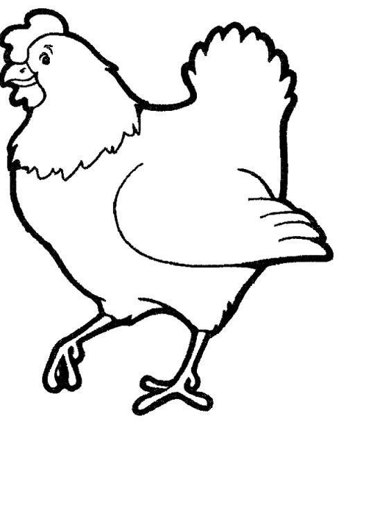 Chicken Coloring Pages For Kids