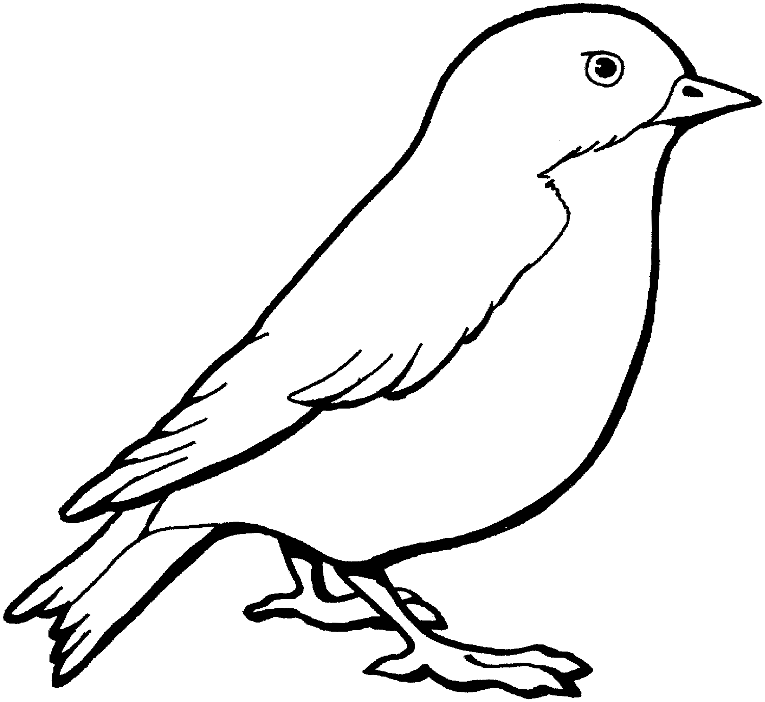 Bird Pictures To Color