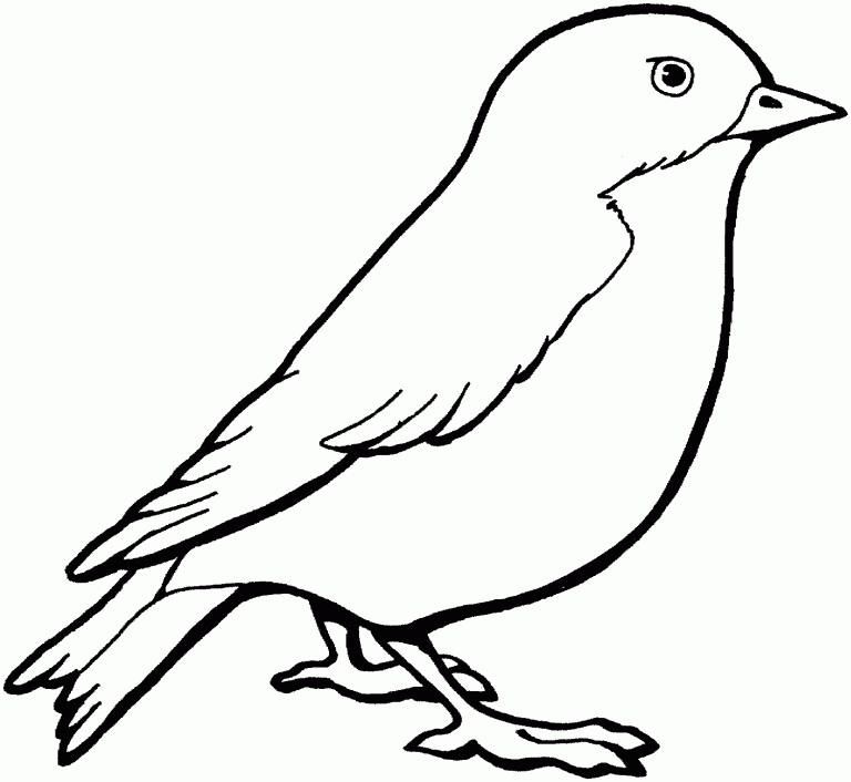 Bird Coloring Pages To Print