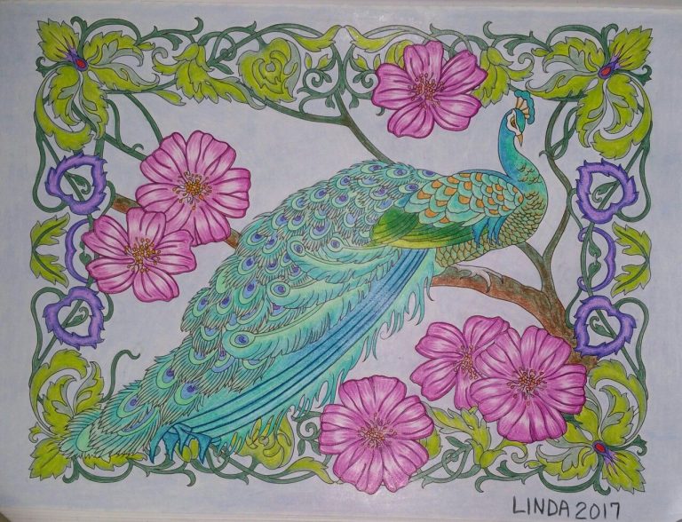 Peacock Coloring Pages Finished