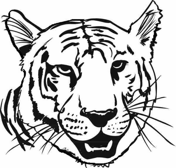 Tiger Coloring Pages Head