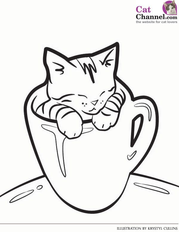 Kitten Coloring Pages Kitty