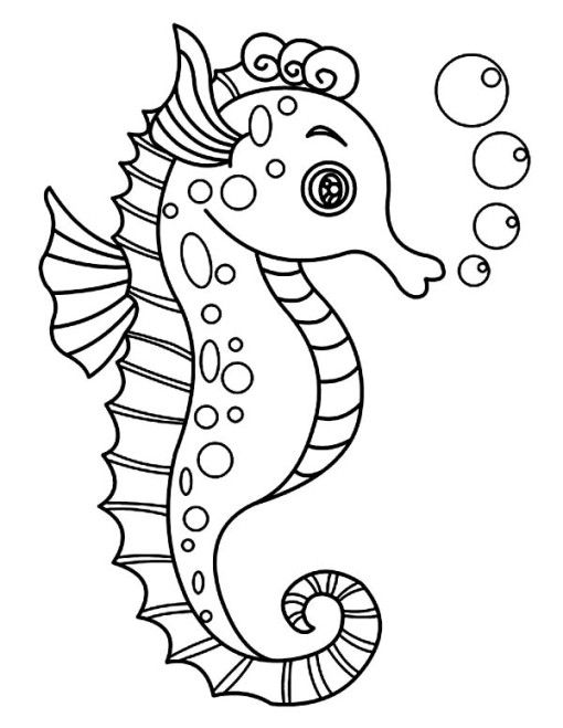 Sea Horse Pictures To Color